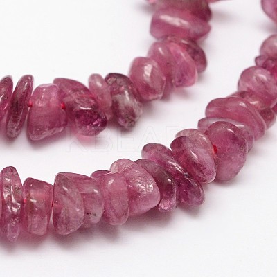 Chips Natural Tourmaline Beads Strands X-G-N0164-04B-1