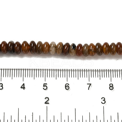 Natural Petrified Wood Beads Strands G-NH0017-D02-02-1-1