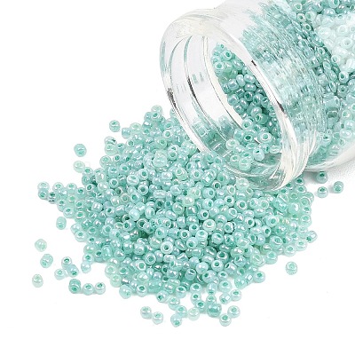Glass Seed Beads SEED-XCP0001-48-1
