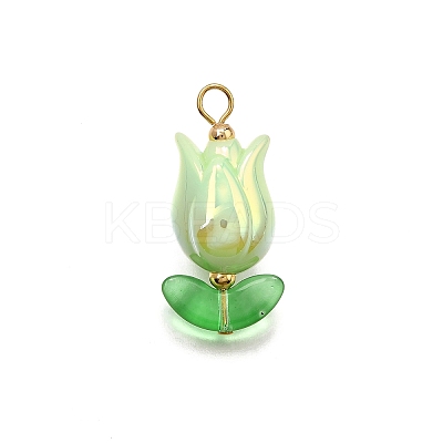 UV Plated Acrylic Pendants PALLOY-TA00270-1