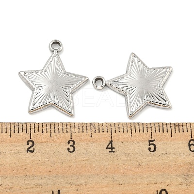 Non-Tarnish 304 Stainless Steel Pendants STAS-P365-09P-1