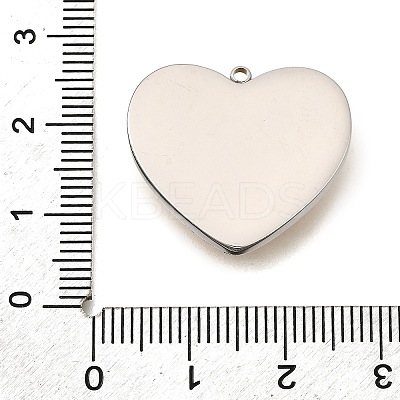 304 Stainless Steel Pendants STAS-M123-03I-PG01-1