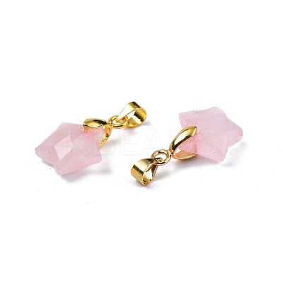 Natural Rose Quartz Charms G-N326-142-09-1