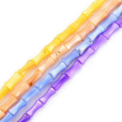 Natural Freshwater Shell Beads Strands SHEL-G013-01-1