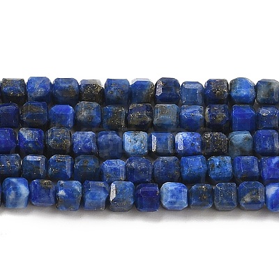 Natural Lapis Lazuli Beads Strands G-E608-B12-1