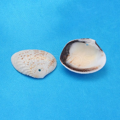 Natural Shell Beads LS-PTS022Y-1