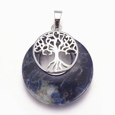 Natural Sodalite Pendants G-F573-C14-1