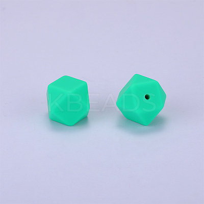 Hexagonal Silicone Focal Beads SI-JX0020A-30-1