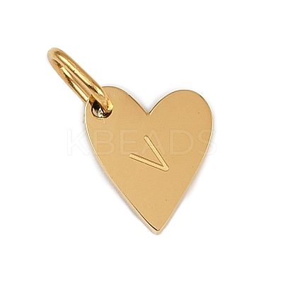 304 Stainless Steel Charms STAS-L291-01G-V-1