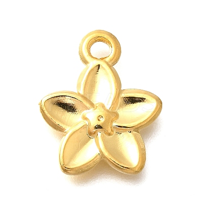 304 Stainless Steel Pendants STAS-P381-10G-1
