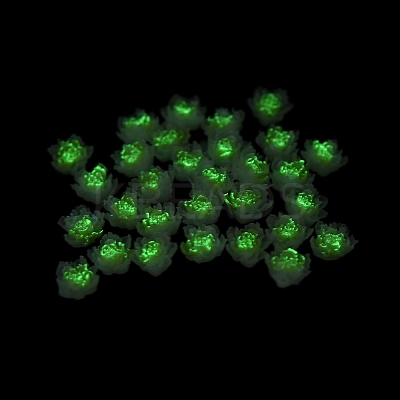 Luminous Resin Decoden Cabochons LS-RESI-K036-06F-02-1