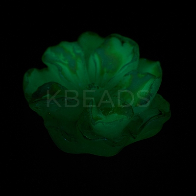 Luminous Resin Cabochons RESI-E033-02D-1
