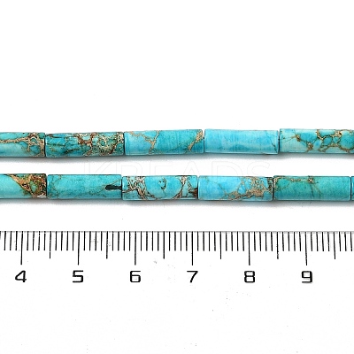 Dyed Natural Imperial Jasper Beads Strands G-H087-H01-01A-1