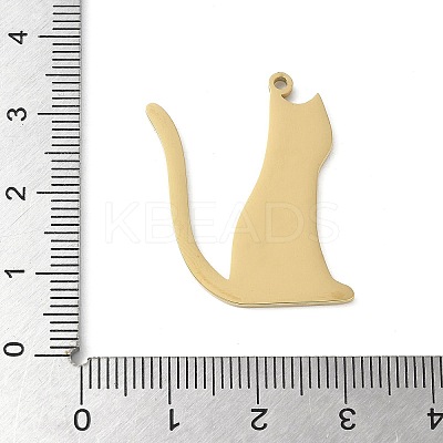 304 Stainless Steel Pendants STAS-E501-13G-1