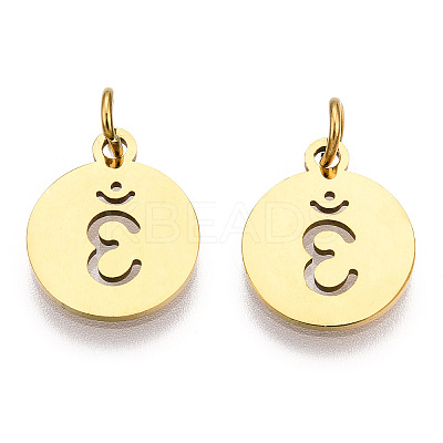 304 Stainless Steel Charms STAS-Q201-T446G-04-1