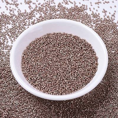 MIYUKI Delica Beads X-SEED-J020-DB1157-1