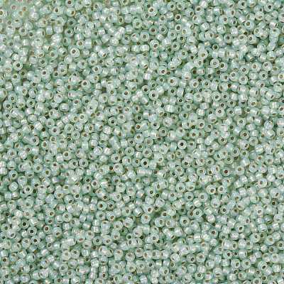 MIYUKI Round Rocailles Beads SEED-X0055-RR2354-1