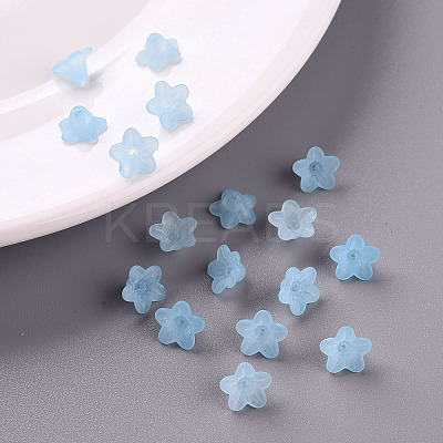 Transparent Acrylic Beads PL554-12-1