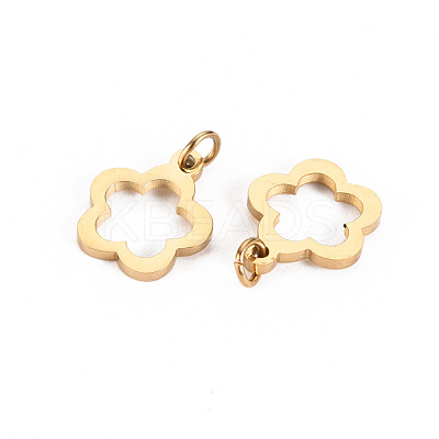 304 Stainless Steel Charms STAS-S116-199G-1