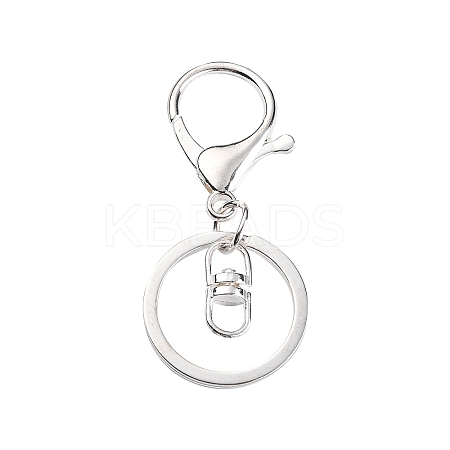 Iron Alloy Lobster Claw Clasp Keychain LS-KEYC-D016-S-1
