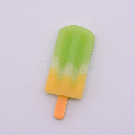 Resin Cabochons RESI-CJC0002-10G-1