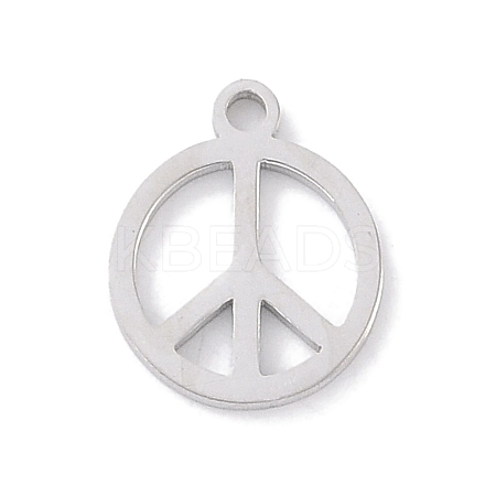 Non-Tarnish 304 Stainless Steel Charms LS-STAS-K286-01B-P-1