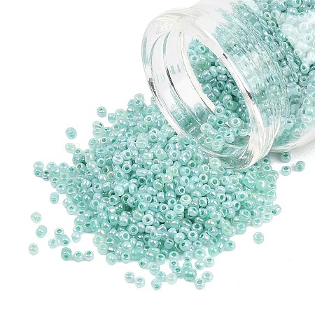 Glass Seed Beads SEED-XCP0001-48-1