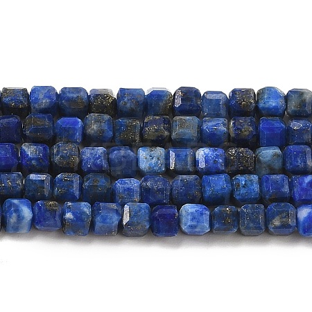 Natural Lapis Lazuli Beads Strands G-E608-B12-1