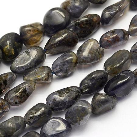 Natural Kyanite Quartz Beads Strands G-K202-04-1