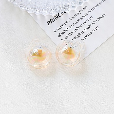 Glass Pendant INS-PW0001-13G-1