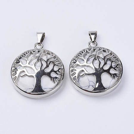 Natural Howlite Pendants G-P350-D11-1