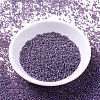 MIYUKI Delica Beads SEED-JP0008-DB0869-2