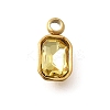 304 Stainless Steel Pendants STAS-Q346-03G-07-1