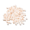 6/0 Opaque Glass Seed Beads SEED-P005-A12-1