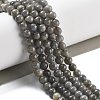 Natural Labradorite Beads Strands X-G-S333-6mm-035-01-2