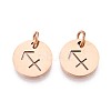 304 Stainless Steel Charms STAS-Q201-T445-9R-1