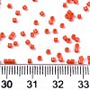 FGB 11/0 Grade A Glass Seed Beads SEED-S030-1002-4