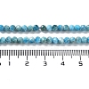 Natural Apatite Beads Strands G-J400-E01-01-5
