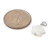 12Pcs 12 Styles Natural Freshwater Shell Big Pendants Set PALLOY-JF02079-3