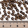 6/0 Glass Seed Beads X1-SEED-A005-4mm-53-3