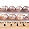 Natural Cultured Freshwater Pearl Beads Strands PEAR-P062-12C-5