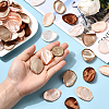 Polyester Artificial Rose Flower Petals AJEW-WH20067-107G-4