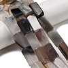 Natural Agate Beads Strands G-F820-G01-01-1