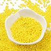 Baking Paint Glass Seed Beads X-SEED-S042-05B-81-2