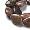 Natural Rhodonite Beads Strands G-P528-L21-01-4