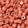 Baking Paint Glass Bead SEED-H002-K-D324-3