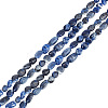 2 Strands Natural Sodalite Nuggets Beads Strands G-GO0001-43-1