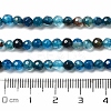 Natural Agate Beads Strands X-G-H302-A01-02-5