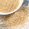 MIYUKI Round Rocailles Beads SEED-JP0008-RR0552-1
