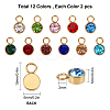 Glass Rhinestone Charms STAS-SC0001-63-2